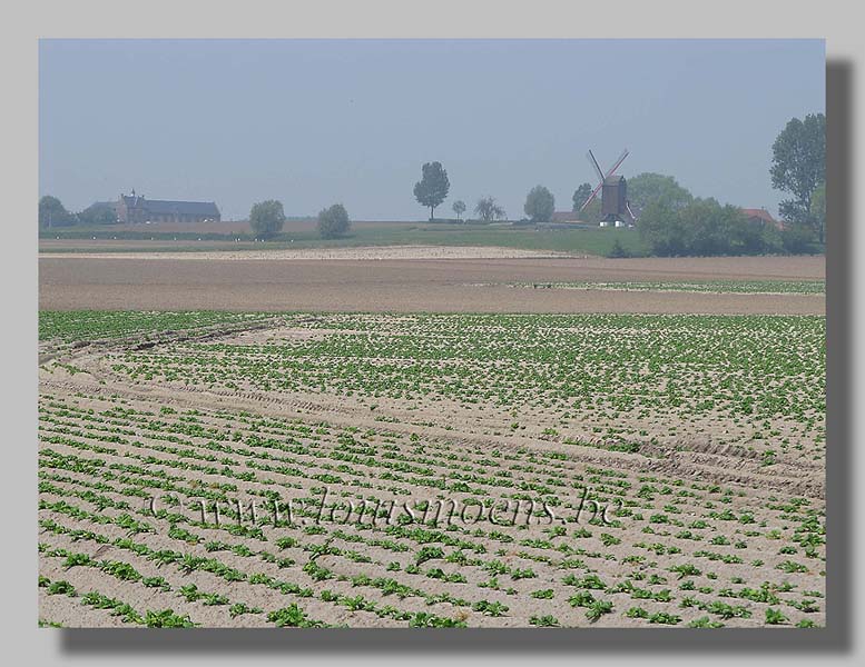 De Poelberg foto Louis Moens