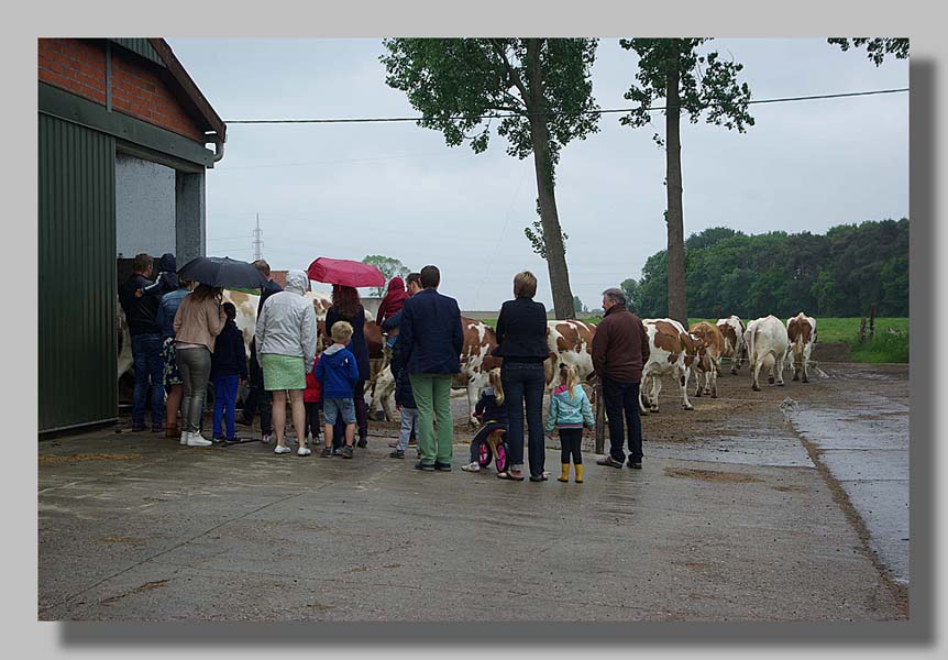 Foto: Louis Moens - Braakmandochters 2015