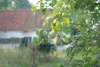 imgp5312_small.jpg