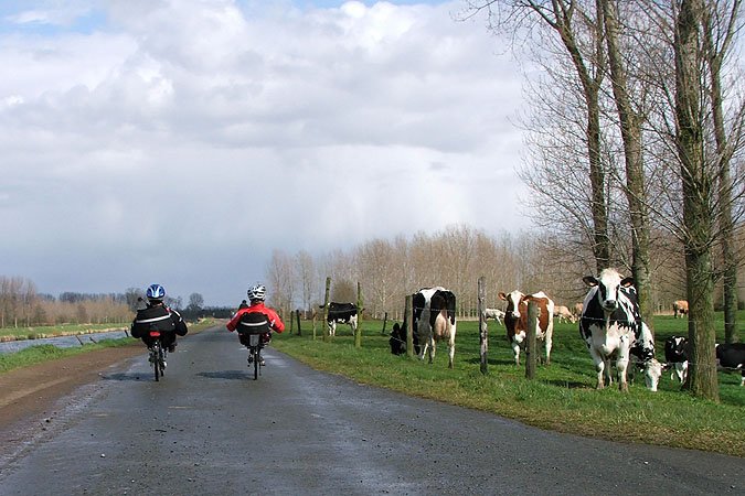 kanaalgentoostendeterhoogtevanhansbeke12april2008.jpg