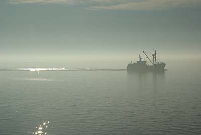 Texel foto: Louis Moens