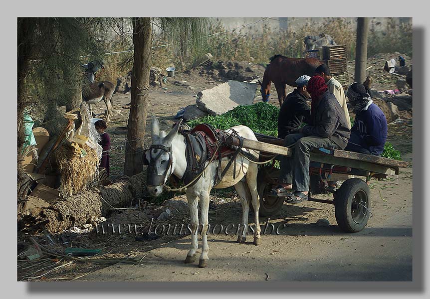 Egypte door Louis Moens