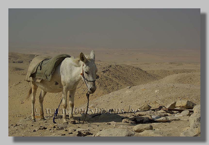 Egypte foto Louis Moens