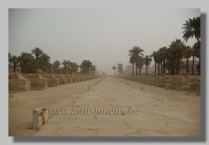 De tempel van Luxor. foto louis moens