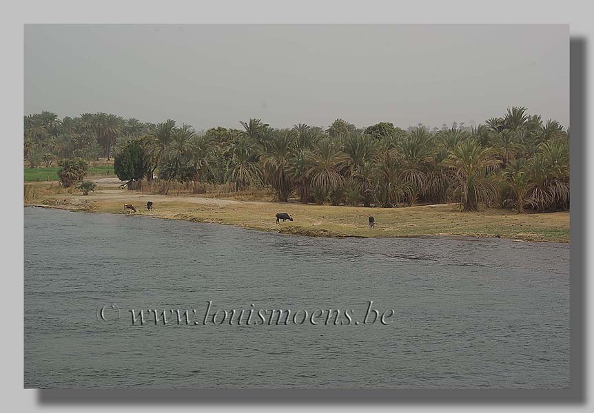 Egypte foto Louis Moens