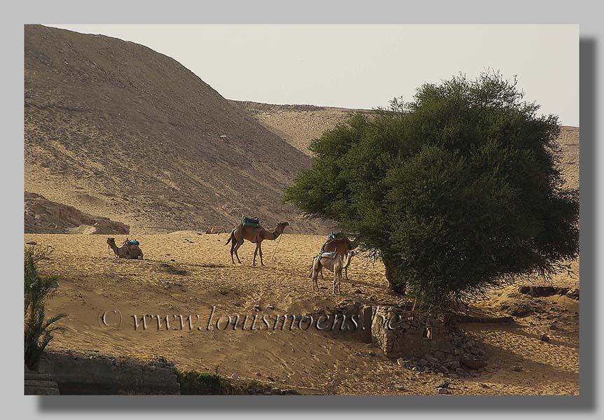 Egypte foto Louis Moens