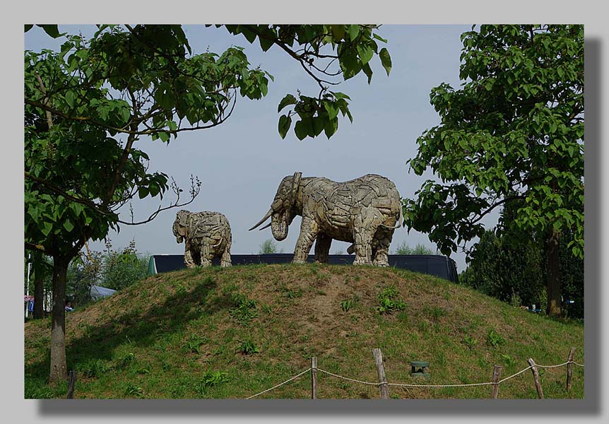 Planckendael - foto: Louis Moens