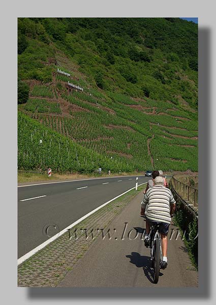 Cochem - foto: Louis Moens