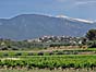 Caromb - foto: Louis Moens