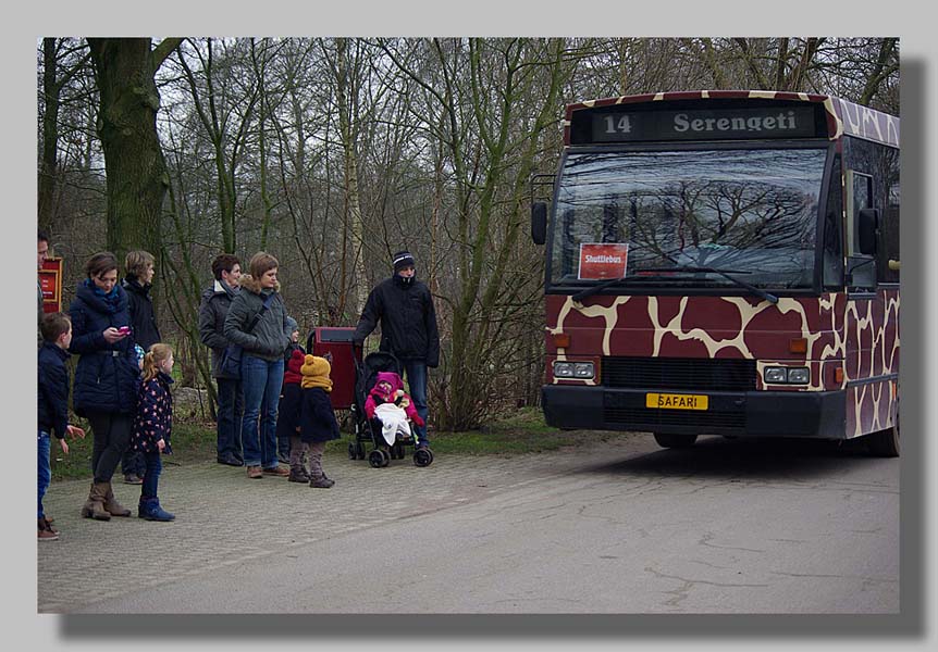 Beekse Bergen 2015: foto's Louis Moens