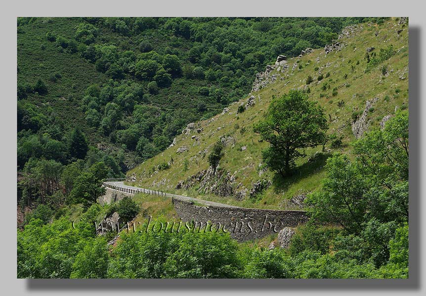 Gorges du Tarn