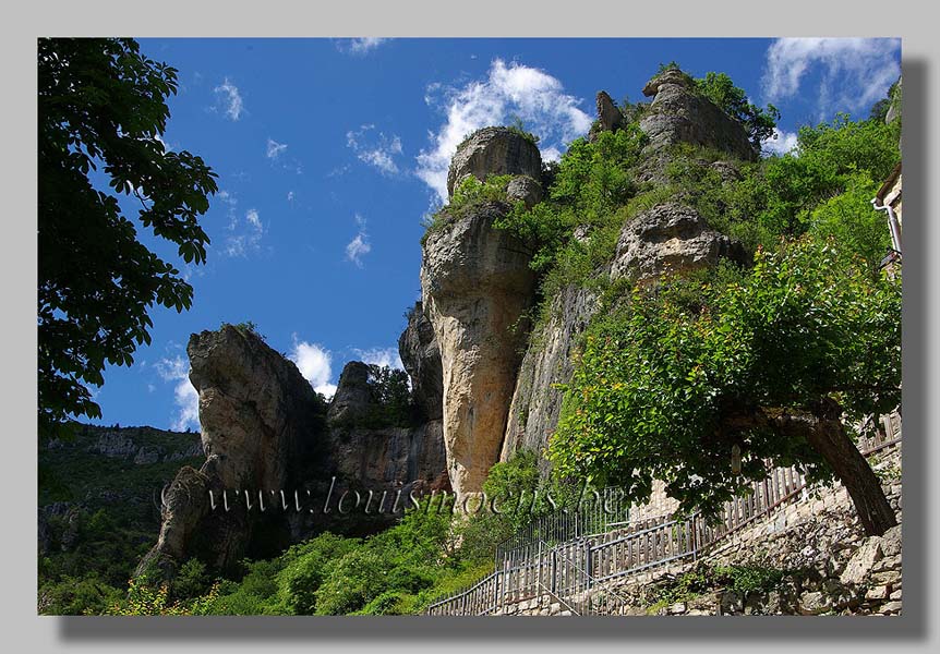 Gorges du Tarn