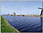 Kinderdijk