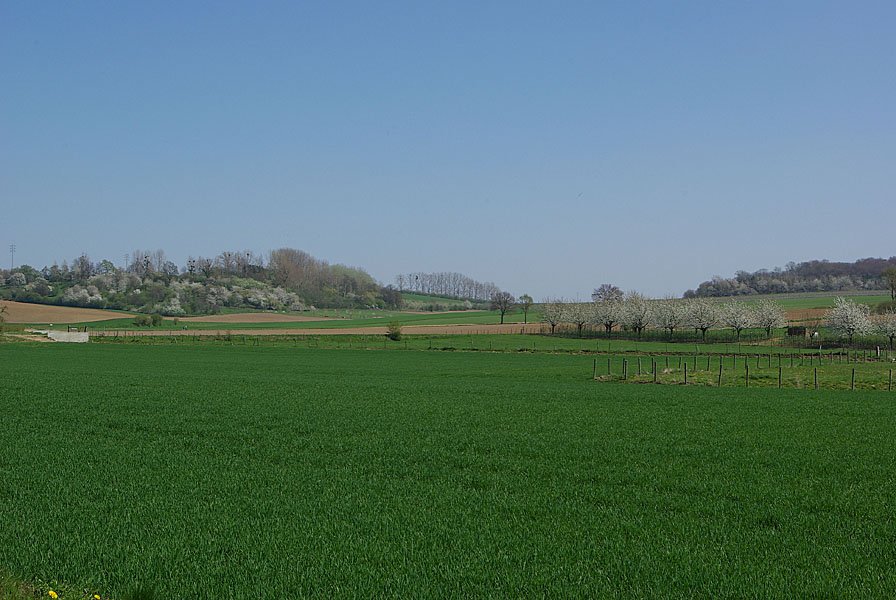 landschap.jpg