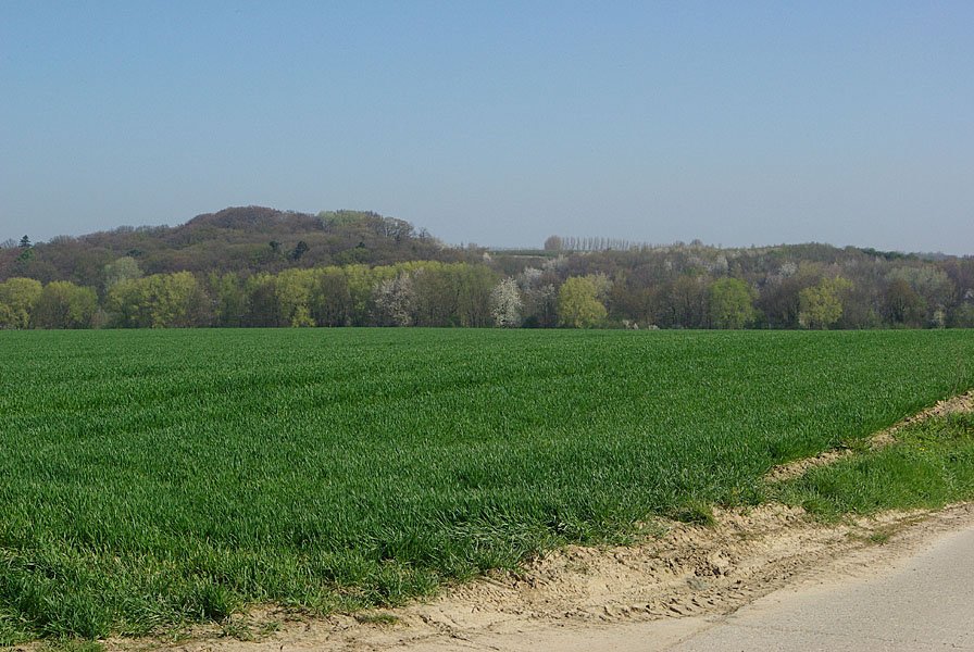 landschap2.jpg