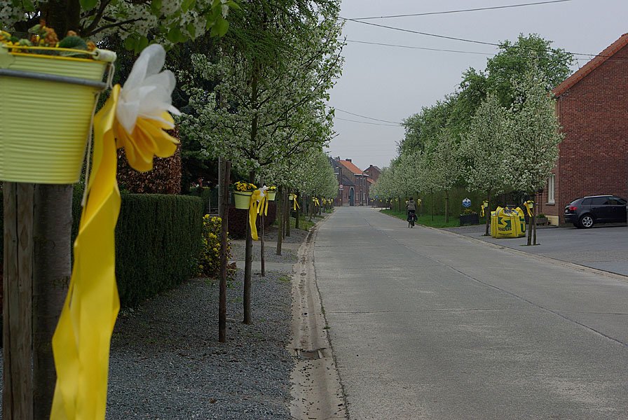 rijkel1.jpg