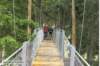 bild0196web_small.jpg