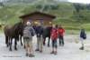 bild0272web_small.jpg