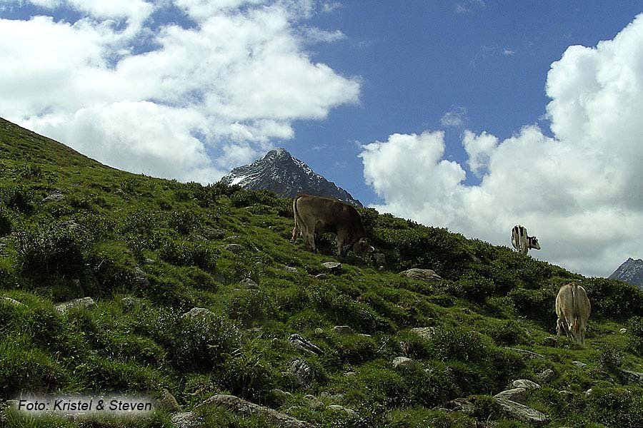 louis moens tirol