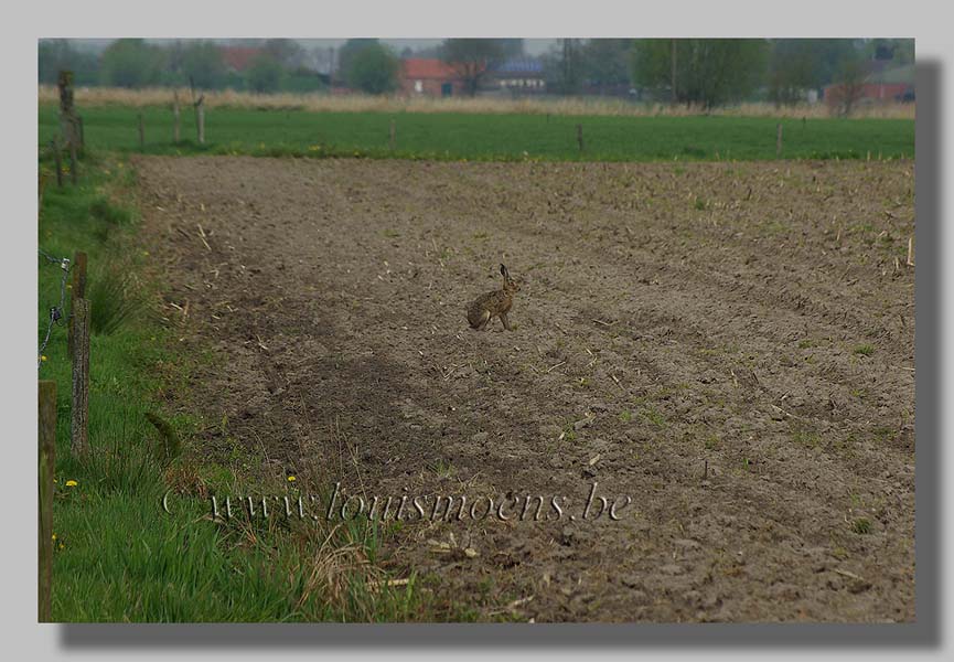 WAOD Bassevelde - Foto's Louis Moens